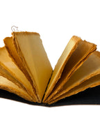 Twin Owl Journal